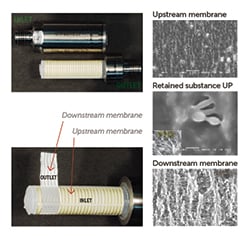 10844-filter-analysis